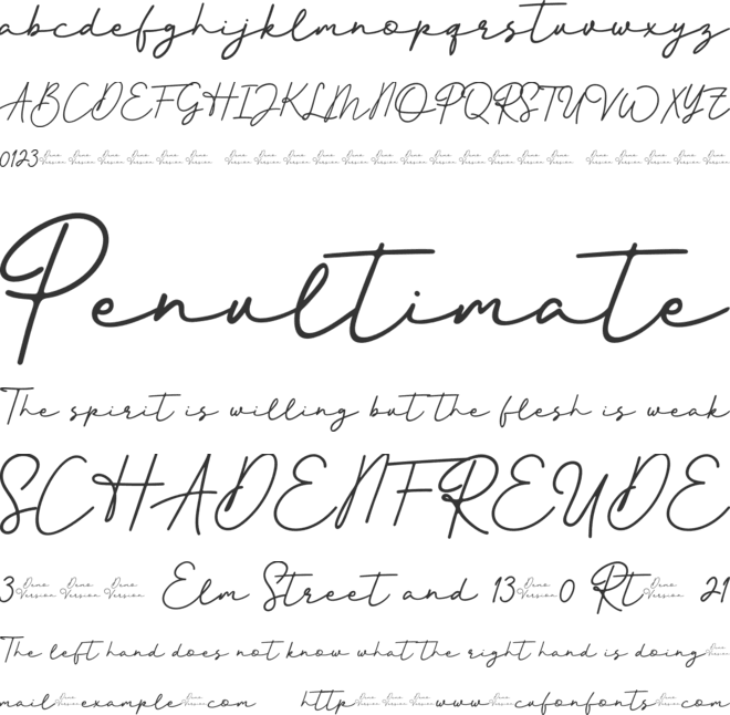 Better Signature font preview