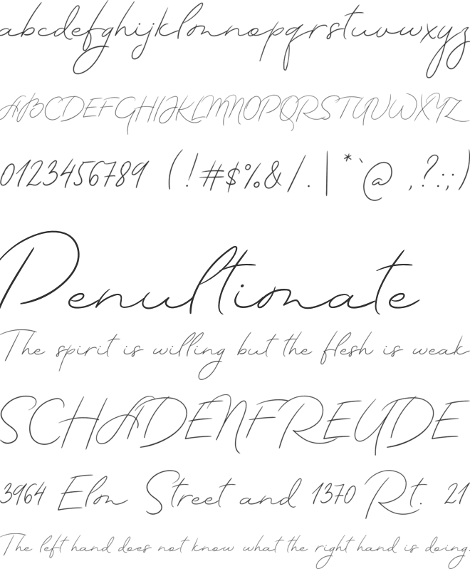 MADE TheArtist Script font preview