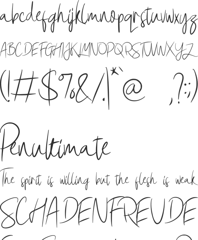 Syltica GT Demo font preview