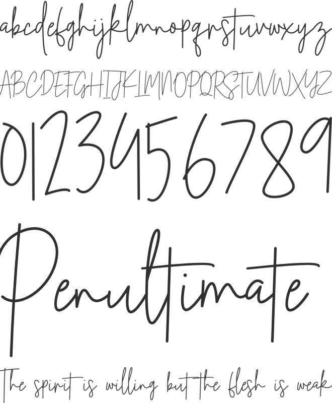 Antonio Melody Signature font preview