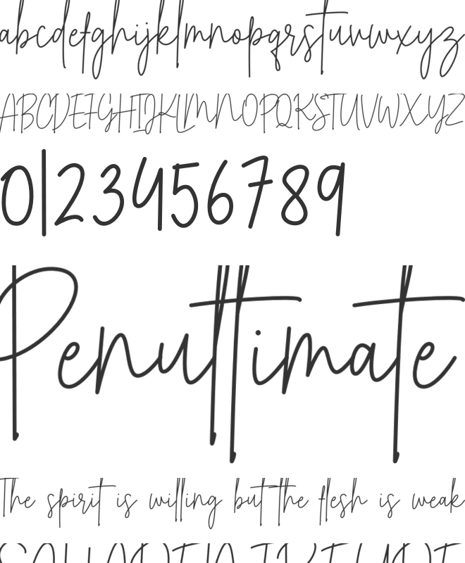 Rafaela Signature font preview