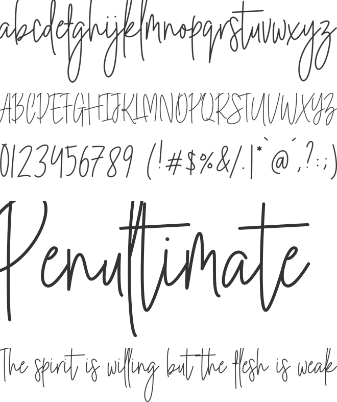 Rochester Signature font preview