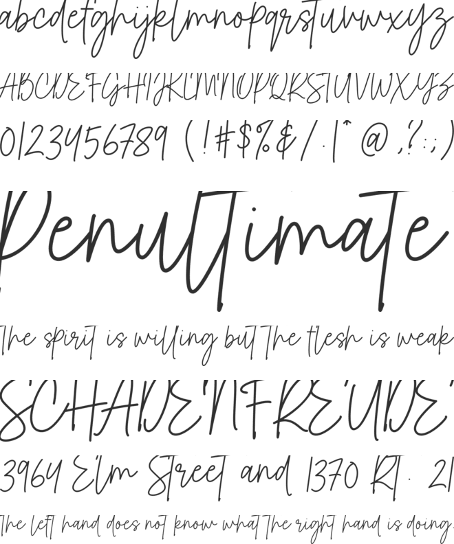 Bettina Signature font preview