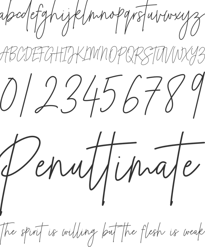 Rufina Signature font preview