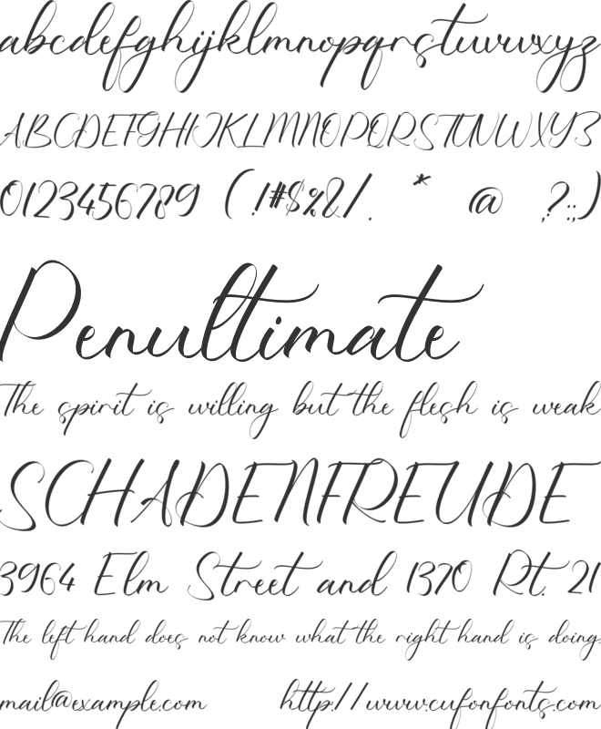 Skinner Churchil font preview