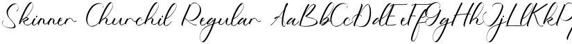 Skinner Churchil Regular font