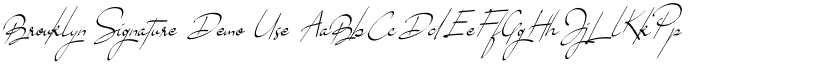 Brouklyn Signature Demo Use font