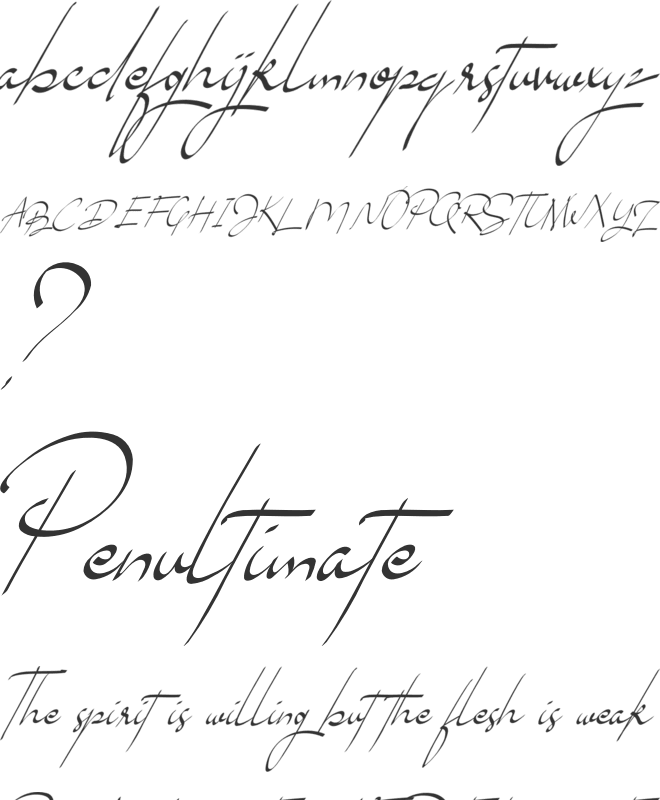 Brouklyn Signature font preview