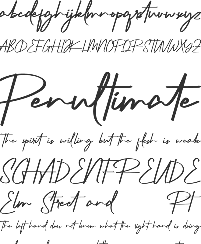 Richness Demo font preview