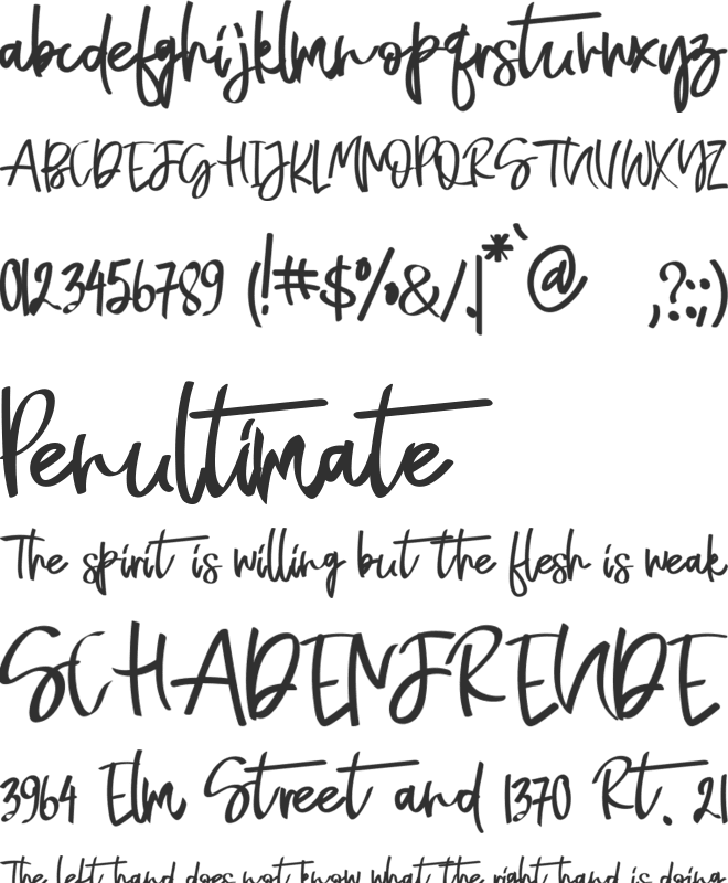 Naycila font preview