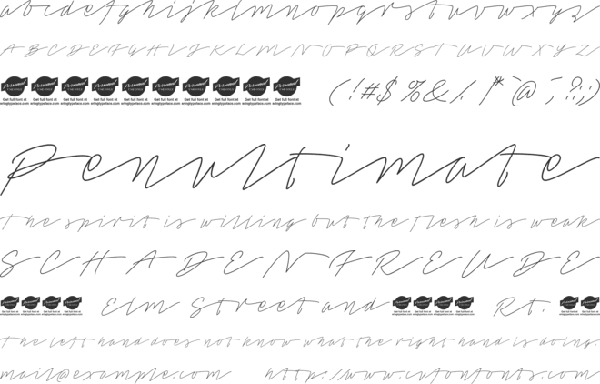 Tamoro Script Personal Use Only font preview
