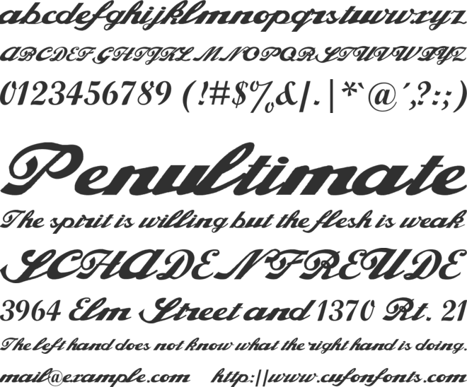 Alfaowner Script font preview