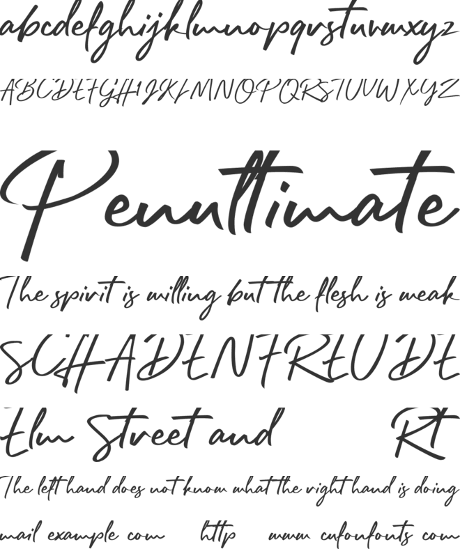 Rafttel Script DEMO font preview