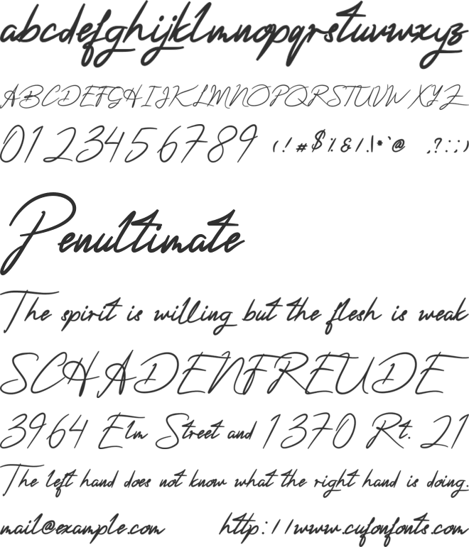 ActerumSignaturePersonalUse font preview