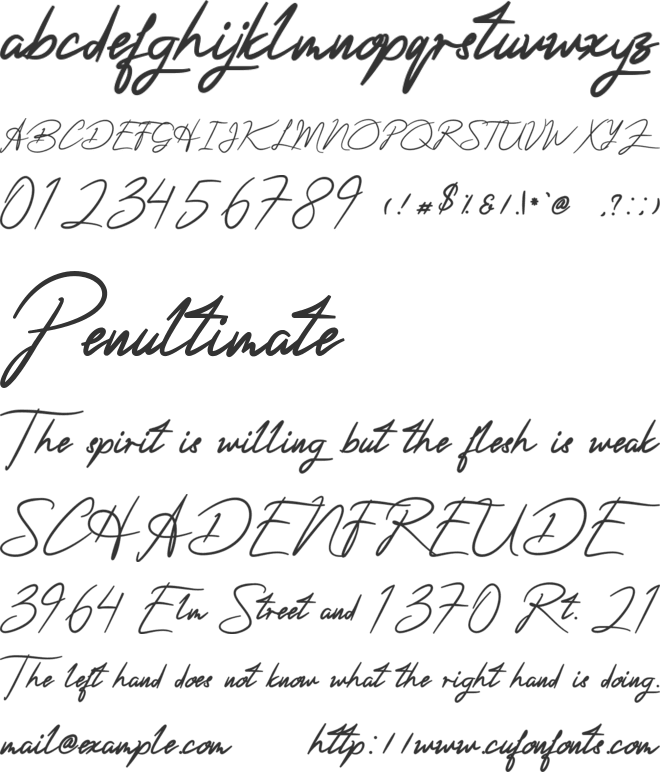 ActerumSignaturePersonalUse font preview