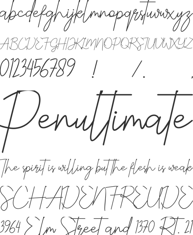Justwinch Signature Demo font preview
