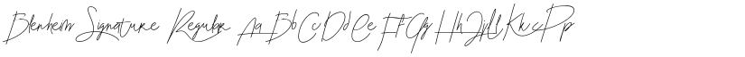 Blenheim Signature font download