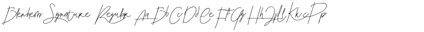 Blenheim Signature font download