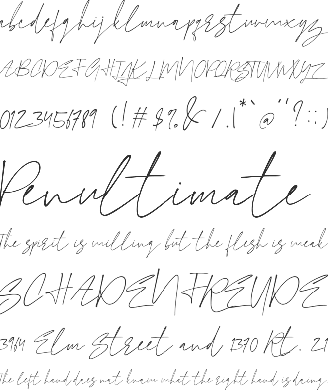 Moonflash font preview