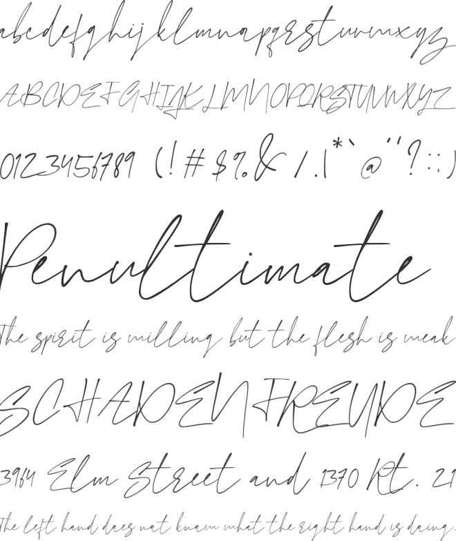 Moonflash font preview