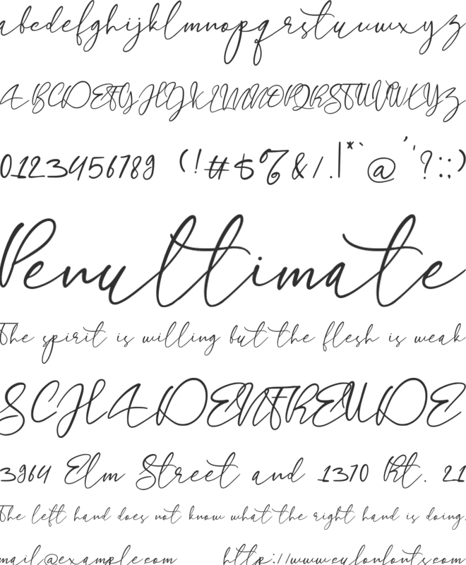 longtail font preview