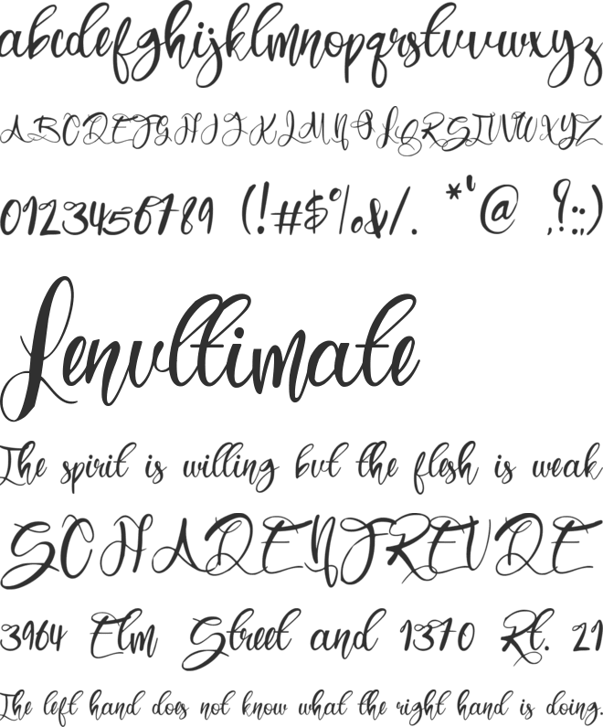 Luckily Script font preview
