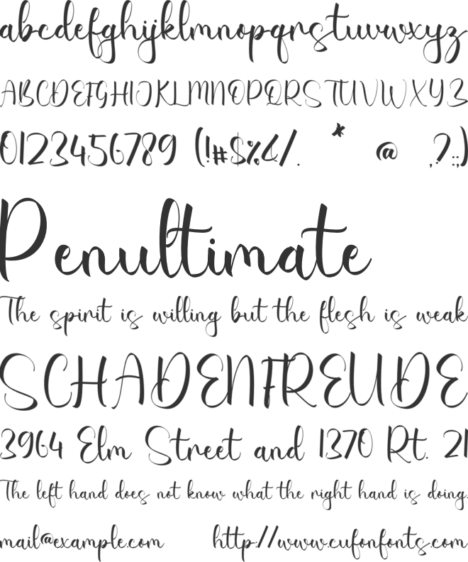 Paola Aislinn font preview