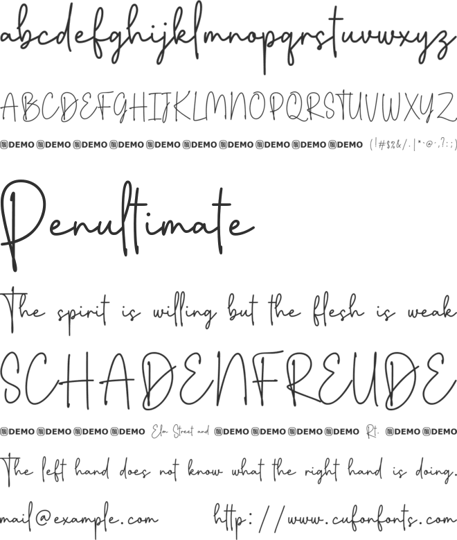 Flighty font preview