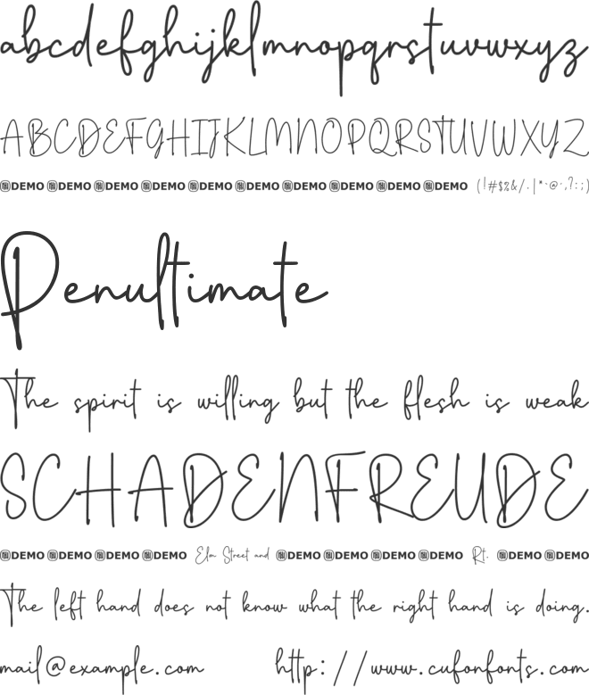 Flighty font preview