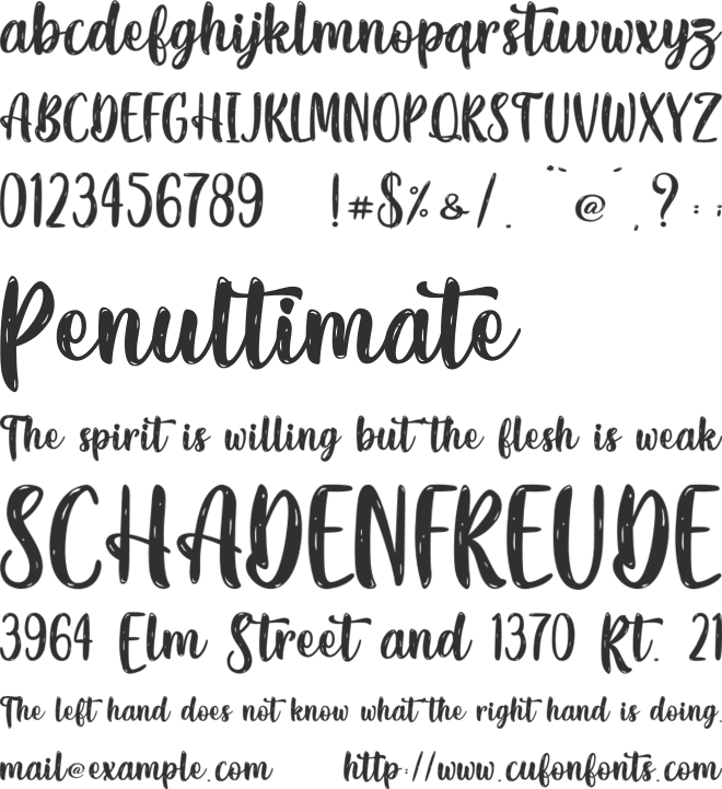 Disco Society - Personal Use font preview