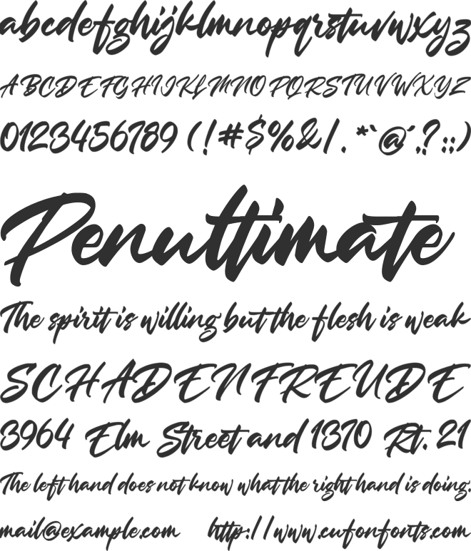 Passion of the Rose font preview