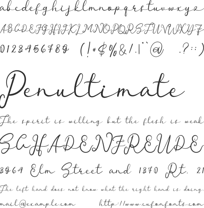 Branded Signature font preview