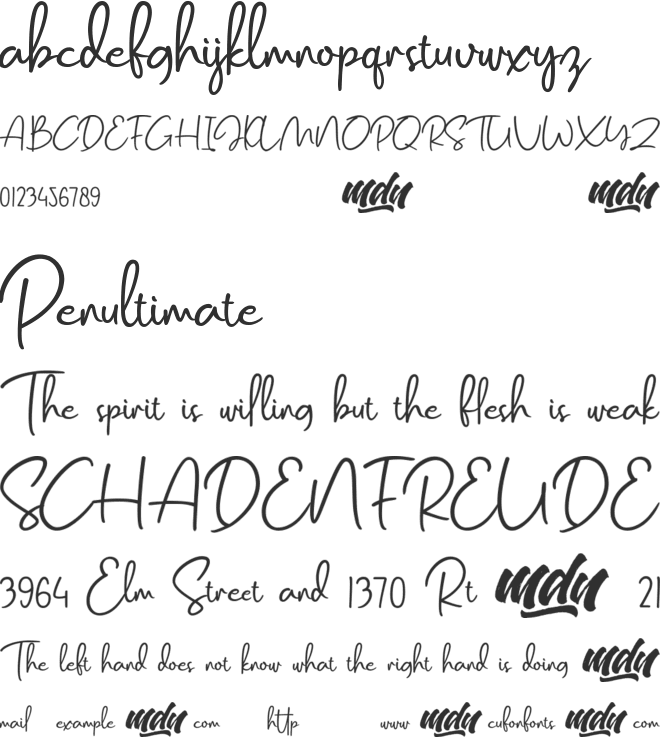 Salmon Script font preview