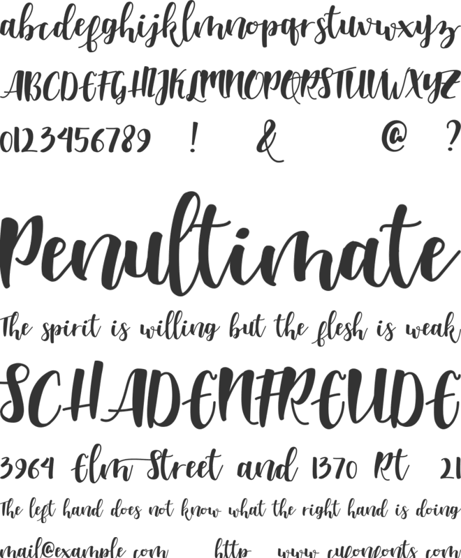 Shella Clean font preview