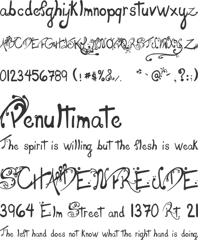 Les oeufs de Cassowary font preview