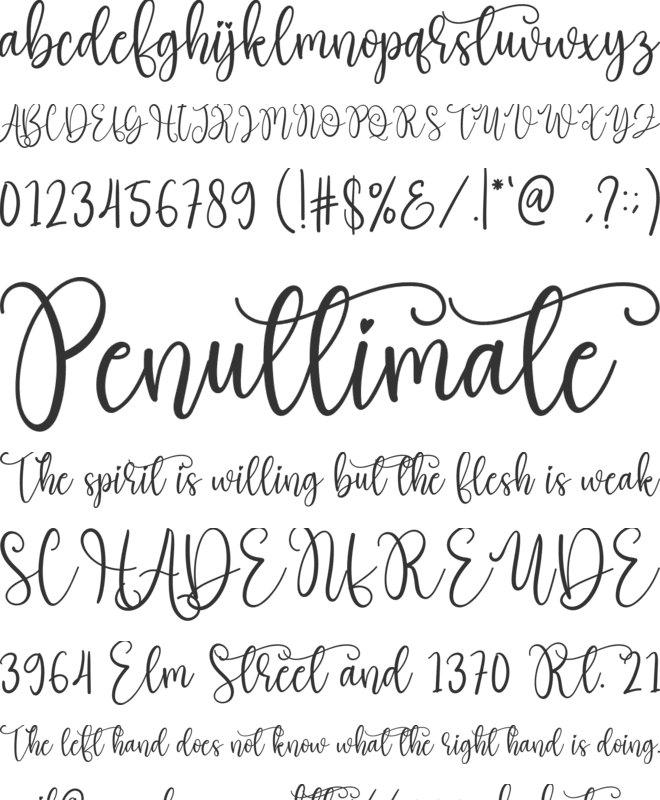 Blackbeer font preview