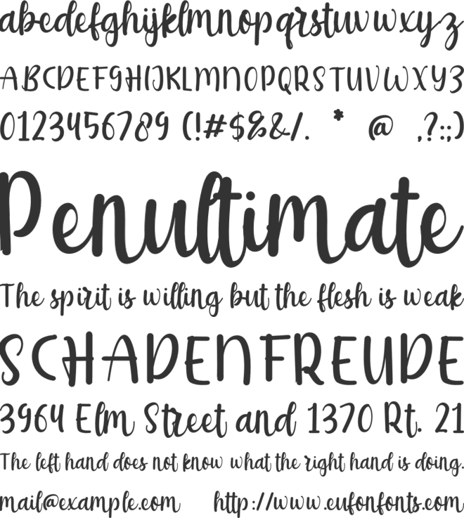 Donita font preview