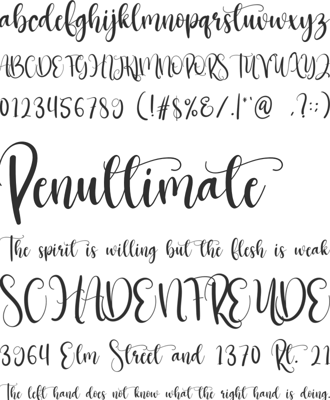 Strong Signature font preview