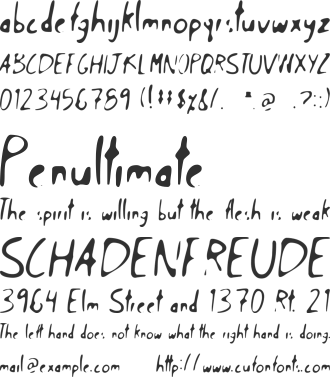 Zayan Calligraphy font preview