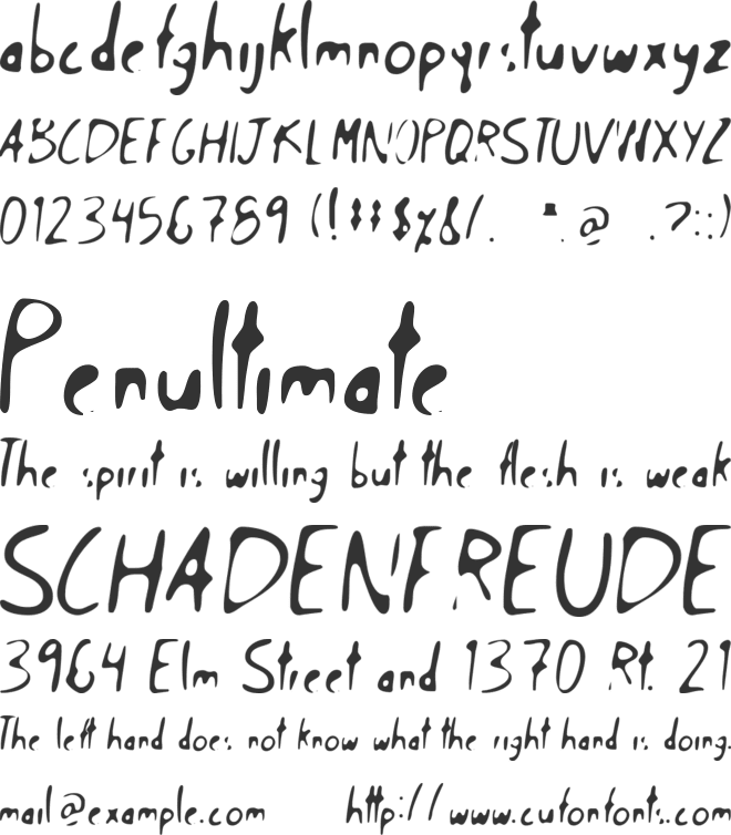 Zayan Calligraphy font preview