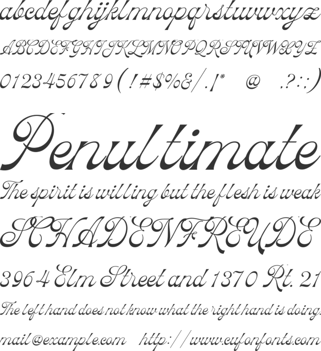 Hulahoy font preview