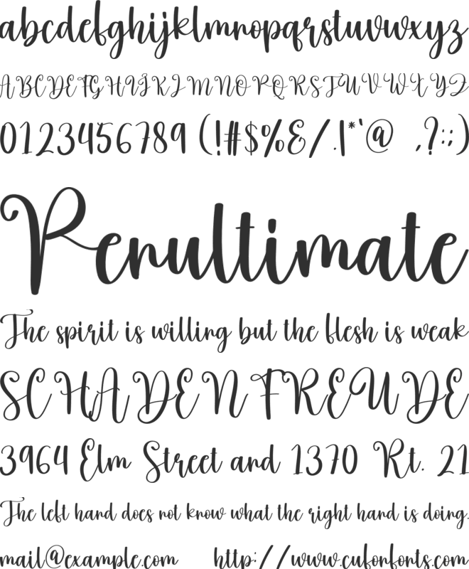 The Nativity font preview