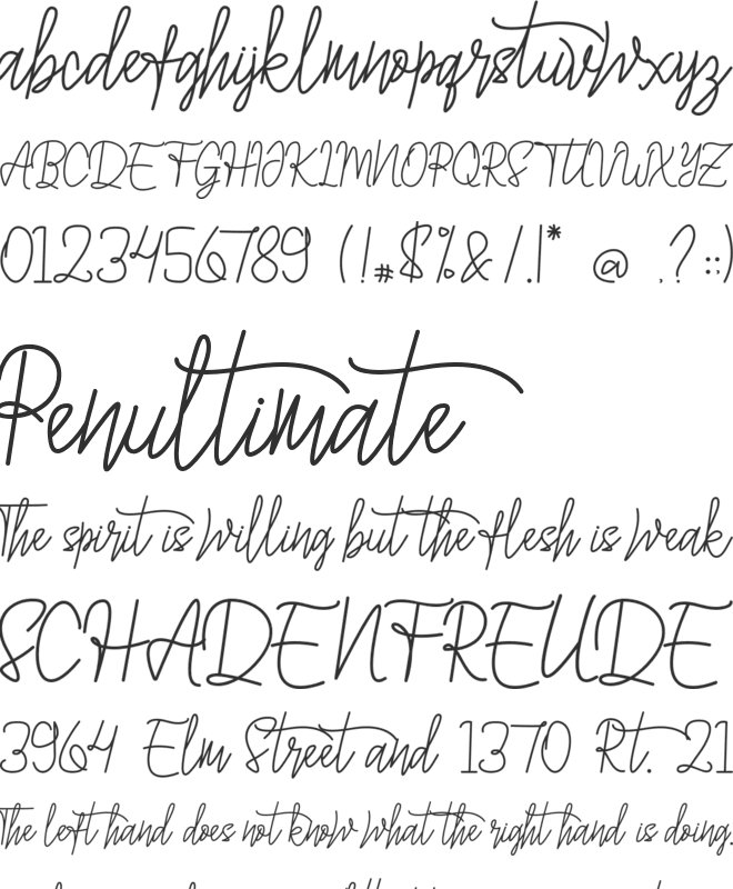 Asittany Script font preview