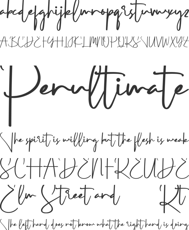 Tiara Black Demo font preview