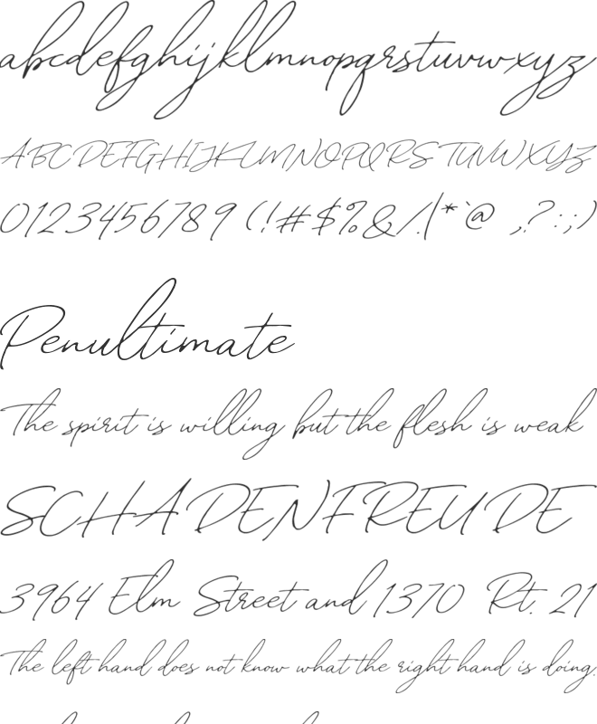 William Letter Signature DEMO font preview