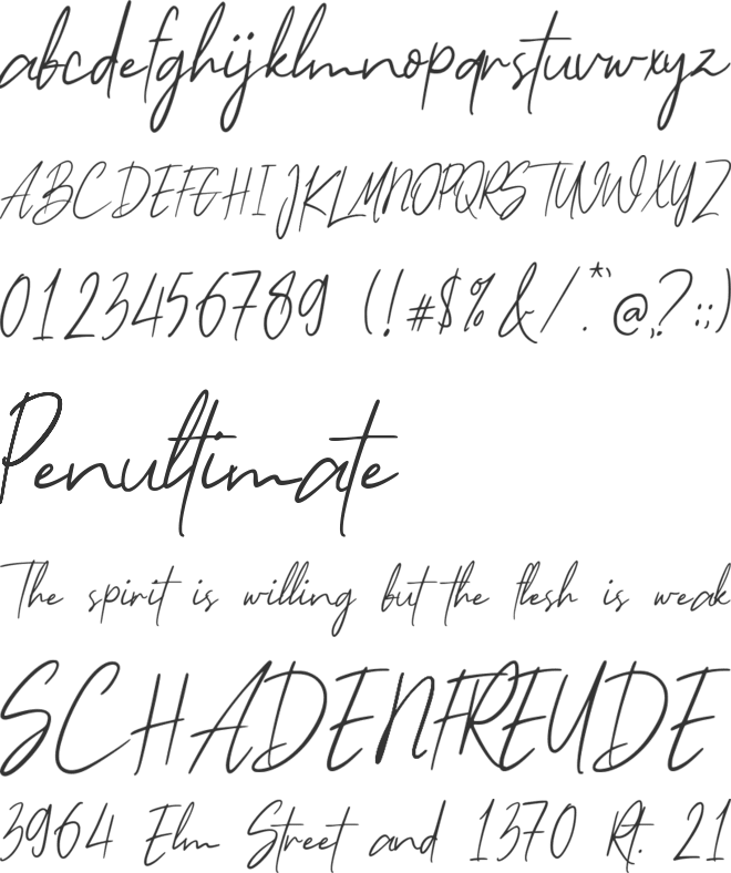 Tokyosign Demo Version font preview