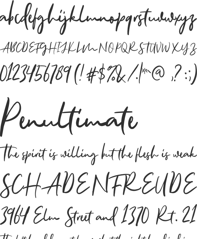 AllisonStyle Script DEMO font preview