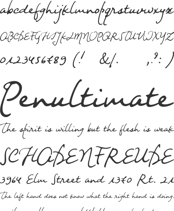 Night Wind Sent Sample font preview