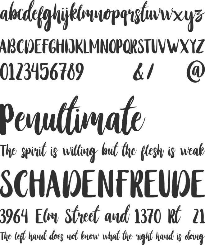 Stay Wildy Personal Use Only font preview