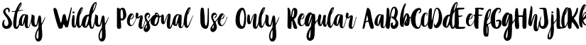 Stay Wildy Personal Use Only Regular font